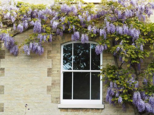 Sliding sash windows Weybridge